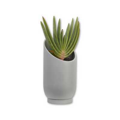 Summit Planter